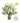 Sympathy Florist's Choice white flower bouquet with vase and card