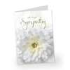 Sympathy greeting card with white flower