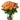 Orange roses in vase