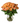 Orange roses in vase