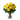 Yellow roses in a vase - yellow12